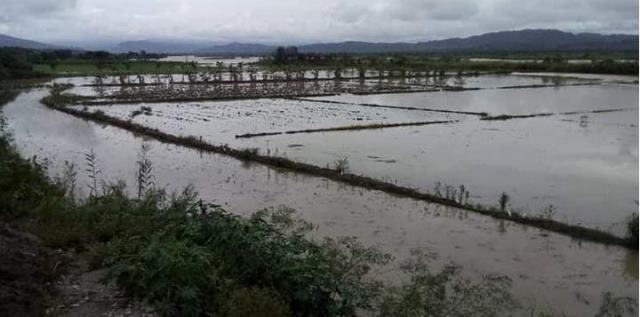 Río Marañón inunda varias hectáreas de cultivo en el valle La Papaya